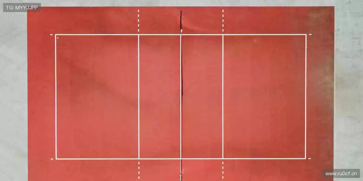 📱实时追踪，精彩瞬间不错过！📸